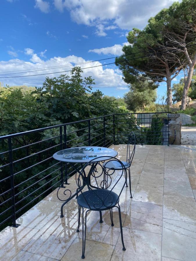 Home Sweet Home 2 Pieces 42 M2 Chambre, Salon, Cuisine, Grande Terrasse, Parking Proche Centre Ville Et Mer Бастия Экстерьер фото